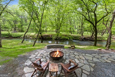 744 Old Loving Rd, Morganton, GA 30560 - photo 4