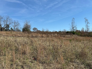 3141 Rdebuck Rd, Preston, MS 39354 - photo 7