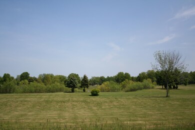 IMG_9421