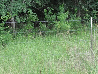 30090 Joseph Rd, Hockley, TX 77447 - photo 3