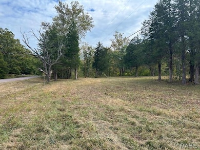 2664 M St, Ironton, MO 63650 - photo 7