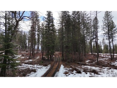 0 Huckleberry Ln, Pendleton, OR 97801 - photo 4