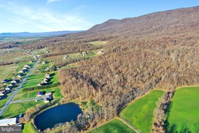 0 unit PAFL178874, Saint Thomas, PA 17252 - photo 4