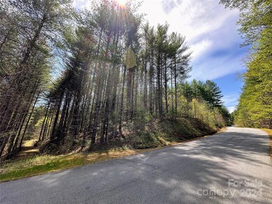 0 National Forest Dr unit 132, Lenoir, NC 28645 - photo 4