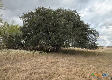 00 County Road 302, Runge, TX 78151 - photo 7