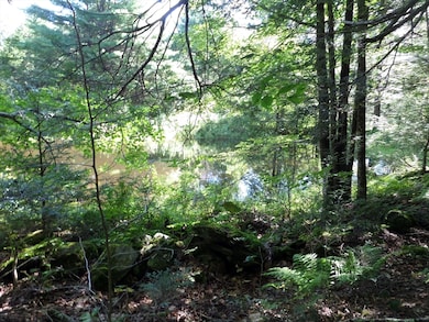 155 River Rd, Worthington, MA 01098 - photo 6