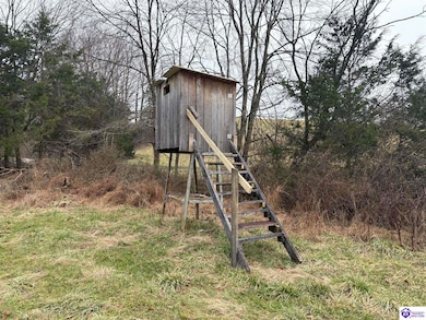 600 Cora Wilborn Rd, Summer Shade, KY 42166 - photo 4