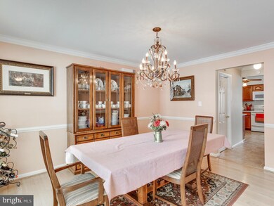 1809 Chapel Hill Rd, Silver Spring, MD 20906 - photo 6