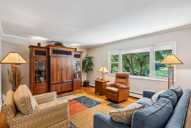 6-web-or-mls-DSC08453