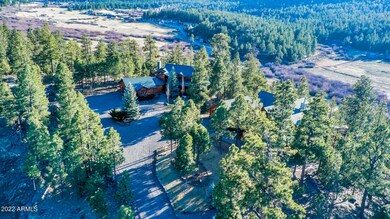 8 Cr 1320 --, Greer, AZ 85927 - photo 6