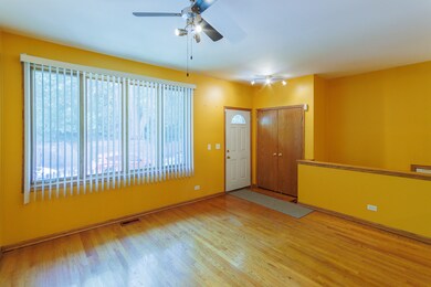 734 W 49th St, Chicago, IL 60609 - photo 5