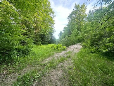 Lot 33 Butterfield Rd, New Sharon, ME 04955 - photo 2