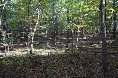 0 Tbd Upper Cady Rd unit 201827580, Chatham, NY - photo 5