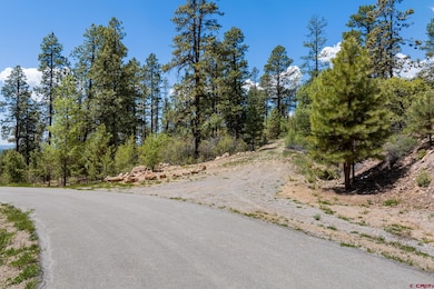 2511 Taylor Ranch Rd, Durango, CO 81301 - photo 6