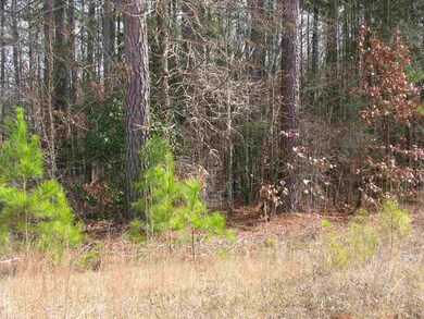 26 Vienna Rd, Gaffney, SC 29340 - photo 2