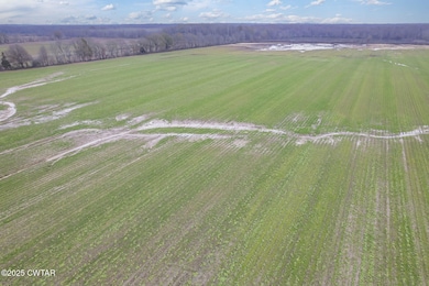 0 Lanier Rd, Alamo, TN 38001 - photo 4