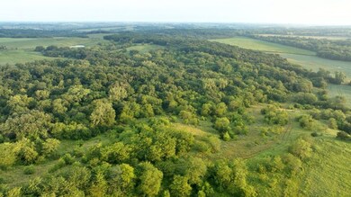 Hazel Rd, Newtown, MO 64667 - photo 4