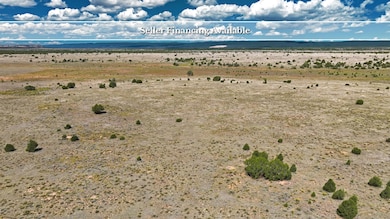 Camino Del Desierto, Cubero, NM 87321 - photo 4
