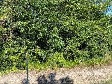 0 Ravenhurst Dr, Moss Bluff, LA 70611 - photo 7