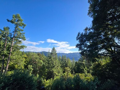 00 Bellus Rd, Garberville, CA 95542 - photo 3