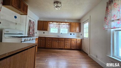 650 Old Route 146 Loop, Vienna, IL 62995 - photo 7