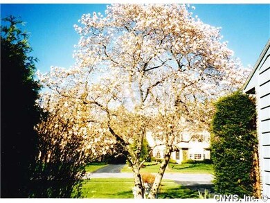 Yard/Garden