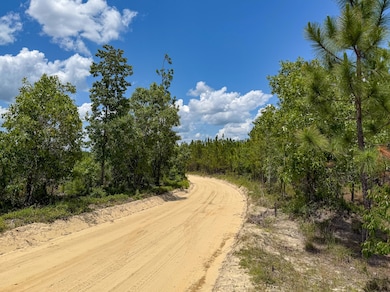 0 Beaver Dam Rd unit 25031385, Cassatt, SC 29032 - photo 4