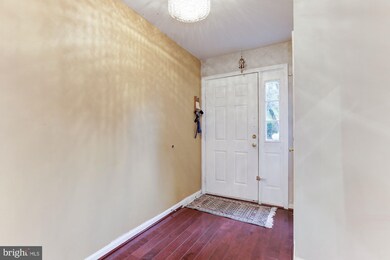 46784 Vermont Maple Terrace, Sterling, VA 20164 - photo 4