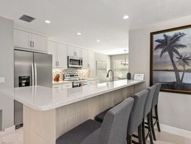 291 W Flamingo Cir, Marco Island, FL 34145 - photo 5