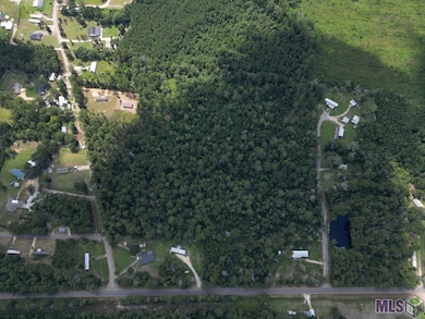 TBD H-5 Pea Ridge Rd, Albany, LA 70711 - photo 5