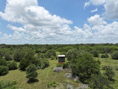 0 Terryville Church Rd unit 25511200, Yoakum, TX 77995 - photo 5