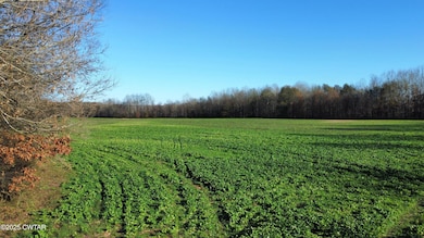 0 Talley Store Rd, Henderson, TN 38340 - photo 5