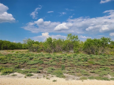 1408 Saguaro Trail, Joshua, TX 76058 - photo 7