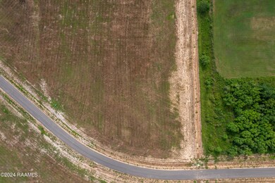 Tbd Rosa Ct unit Lot 41, Sunset, LA 70584 - photo 3