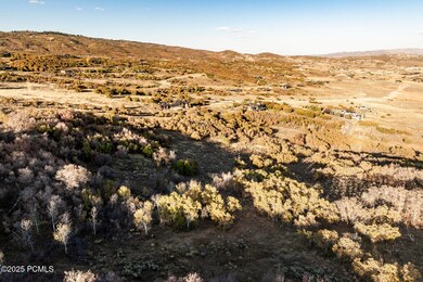 009_1655redhawk42_835