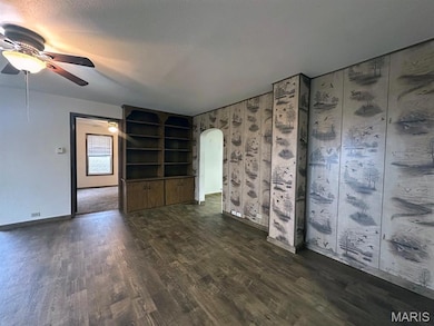 14007 State Highway Ww, Dudley, MO 63936 - photo 6