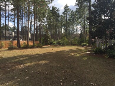 Back yard