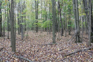 4156 State Route 167, Jefferson, OH 44047 - photo 7