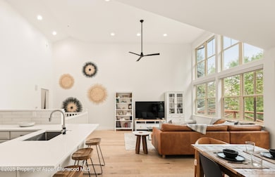 545 Evans Ct, Basalt, CO 81621 - photo 3