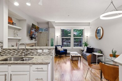 545 N 1st St unit 129, Minneapolis, MN 55401 - photo 5