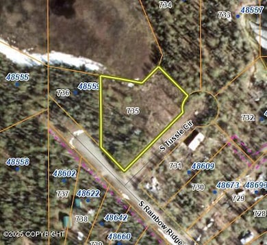 L 735 S Tussle Cir, Willow, AK 99688 - photo 2