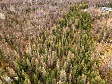 3025 E Paradise Ln, Wasilla, AK 99654 - photo 4