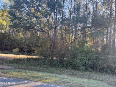 0000 County Road 160, Bonifay, FL 32425 - photo 6