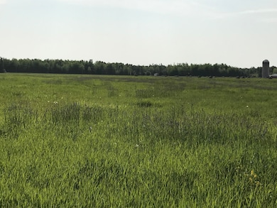 0 S Shunk Rd, Sault South Marie, MI 49783 - photo 2