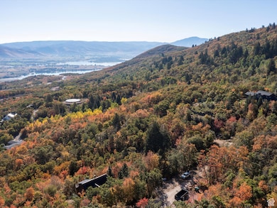 Mountain view featuring a large body of water and a forest