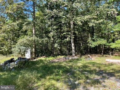 1333 Stoneybreak Rd, Warfordsburg, PA 17267 - photo 3