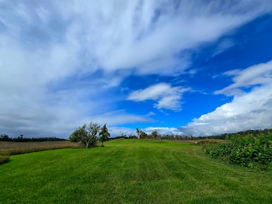 2108 Goslow Rd, Gaylord, MI 49735 - photo 5