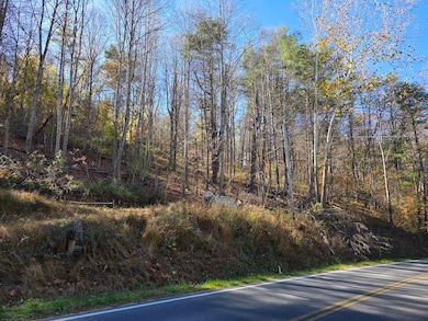 TBD Pilot Rd, Riner, VA 24149 - photo 3