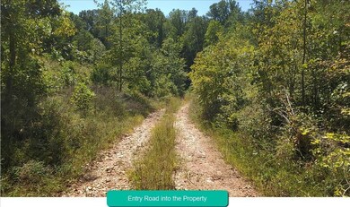 0 Norwood Rd unit 327575, Norwood, VA 24581 - photo 3