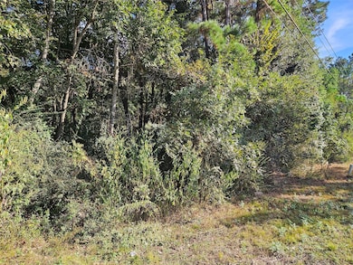 0 Hardin Store unit 12393015, Magnolia, TX 77354 - photo 4